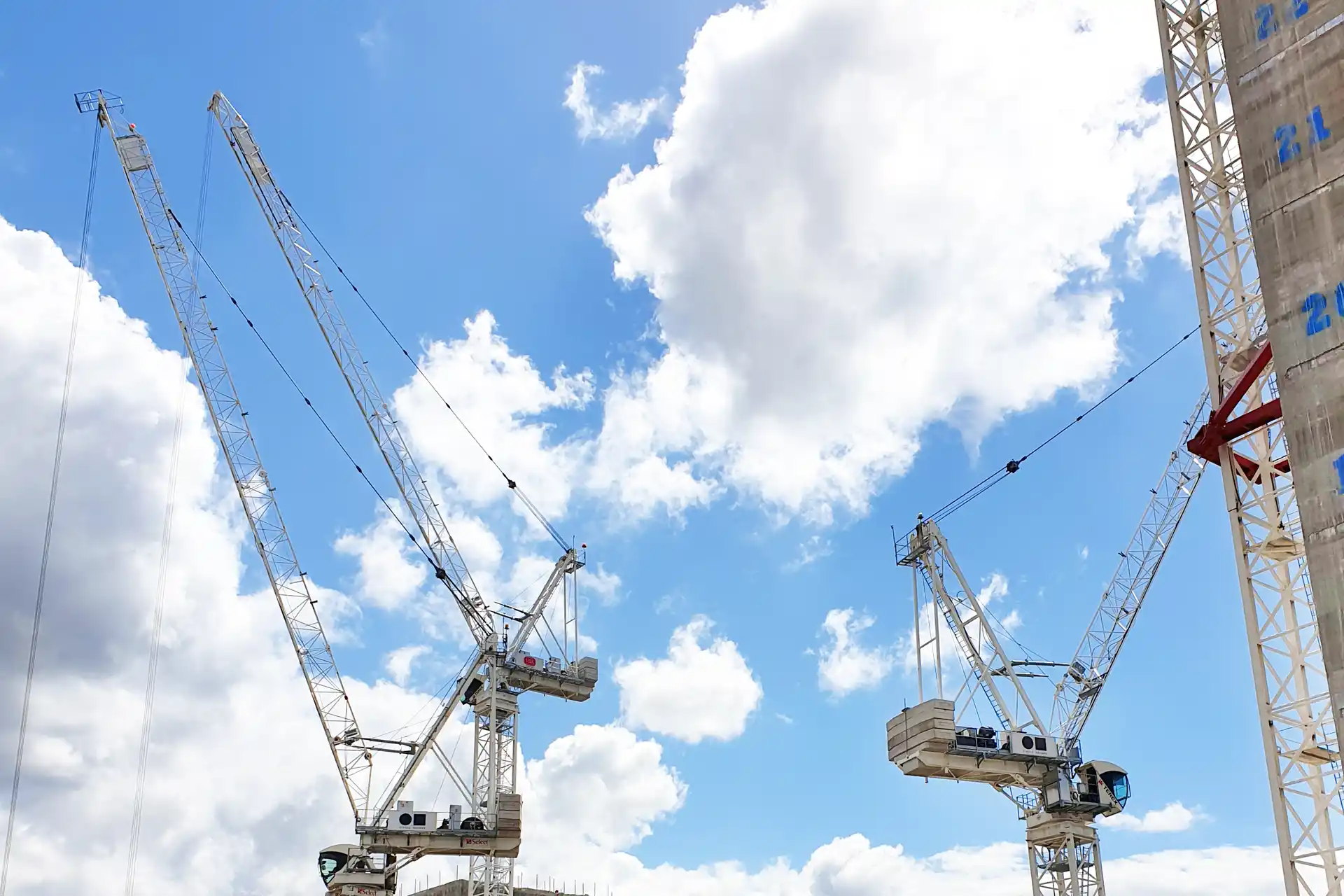 cranes at circle square