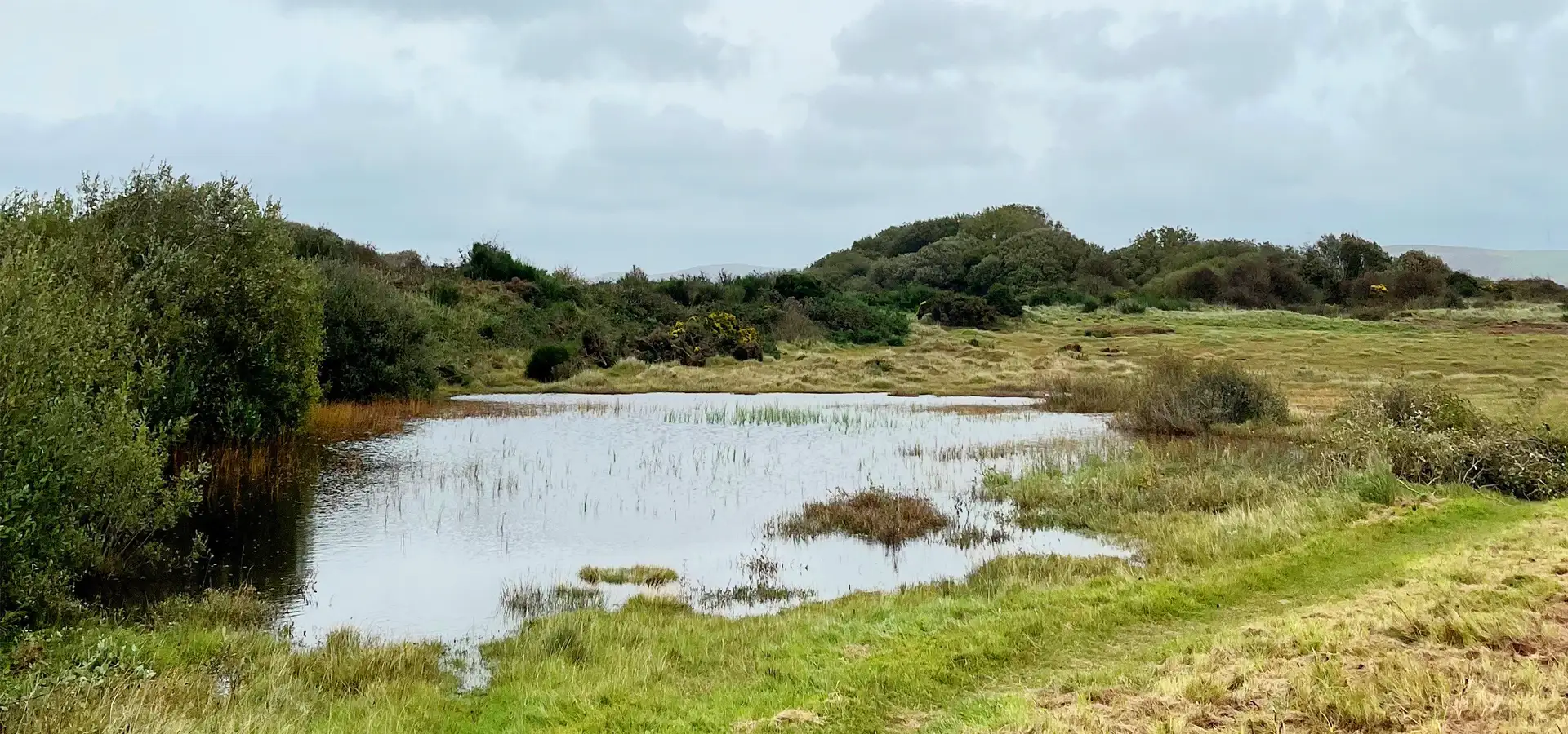 Hodbarrow RSPB Reserve in Cumbria